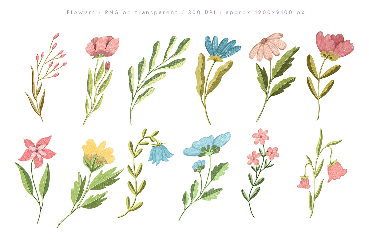 Luna moth clipart & pattern, an Animal Illustration by Yelloo Fish (Photo 3 of 11)