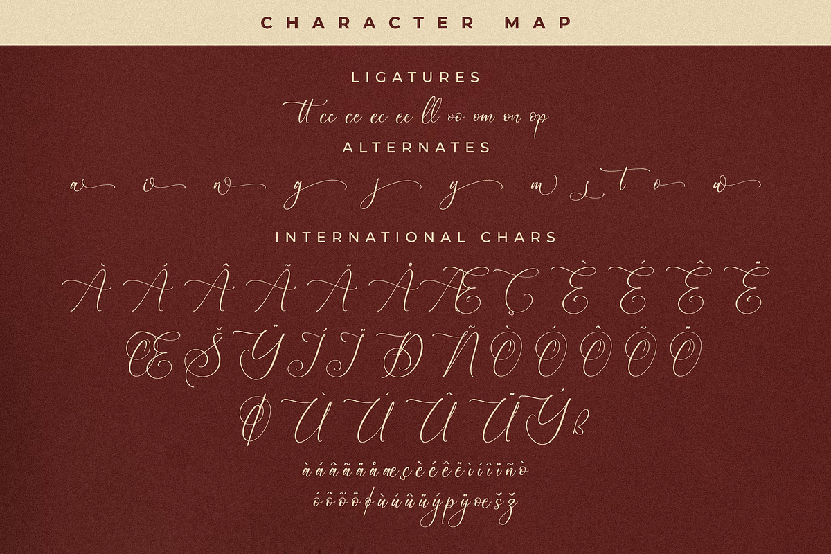 Serandipity Boutique Font Duo, a Serif Font by Storytype Studio (Photo 14 of 15)