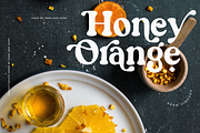 Groovy Fruity - Retro Serif, a Serif Font by Sans & Sons (Thumbnail 6 of 10)