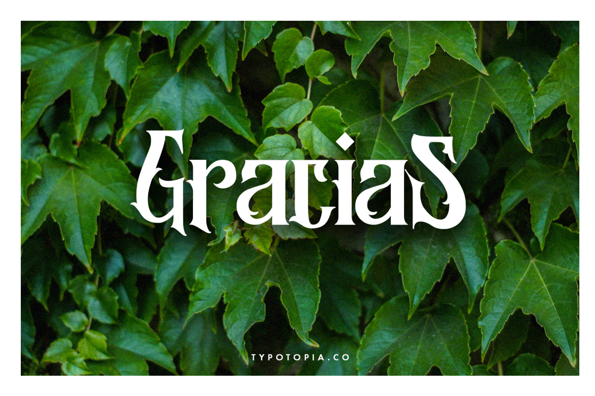 Morgana - Display Font, a Serif Font by edukka (Photo 13 of 13)