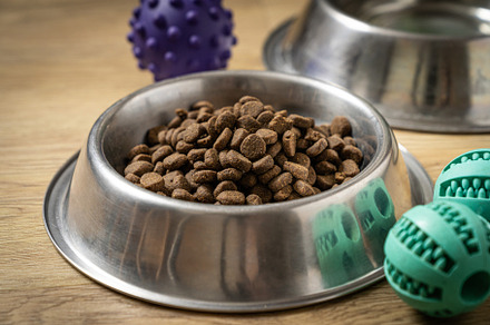 Pet food concept - dry pet food on bowl on wood background