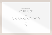 Rotweiler - Fashion Font, a Serif Font by RockboyStd (Thumbnail 11 of 12)