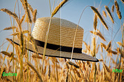 Summer Photoshop Actions 290 Bundle, an Action Add-On by ARTNEST (Thumbnail 5 of 12)