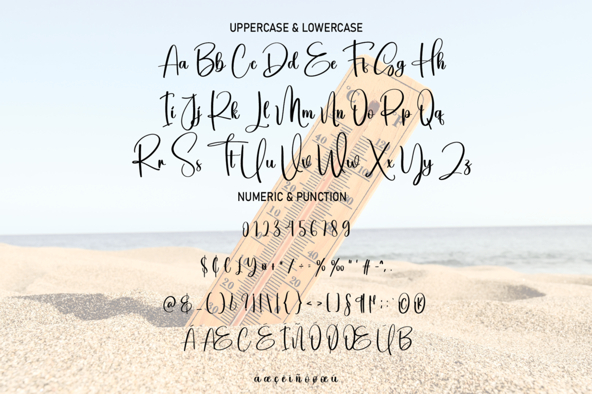 Temperature | Script Font, a Script Font by Scratchones (Photo 7 of 7)