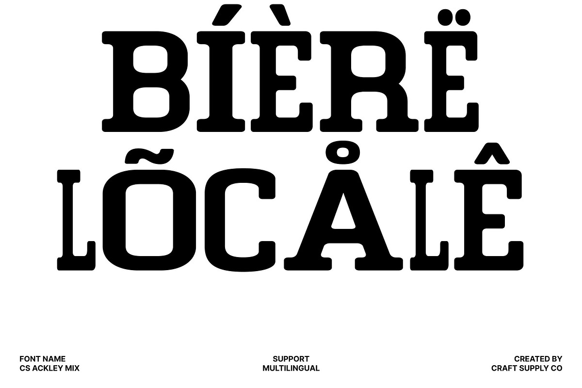 CS Ackley Mix, a Slab Serif Font by Craft Supply Co. (Photo 7 of 8)