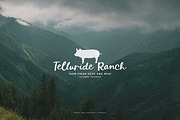 Finch & Pheasant Script, a Font by Callie Rian & Co. (Thumbnail 2 of 12)