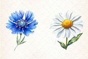 Watercolor Wild Flower Clipart, an Illustration by Libby Wishes (Thumbnail 6 of 7)