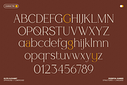 GC Cheline - Modern Elegant Serif, a Serif Font by Glyphonic (Thumbnail 2 of 15)