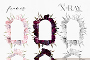 X-Ray Flowers Watercolor, an Object Illustration by Olga Koelsch (Thumbnail 9 of 13)
