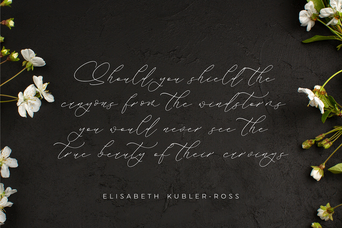 Andaluse Selioth Beauty Script Font, a Script Font by Storytype Studio (Photo 7 of 15)