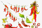 Hot and Chili, a Food Illustration by Aglia ART (Thumbnail 3 of 5)