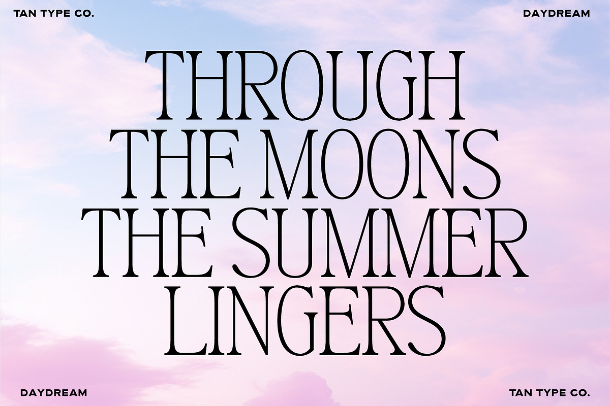 TAN-MIDSUMMER- DUO FONT, a Serif Font by TanType (Photo 9 of 10)