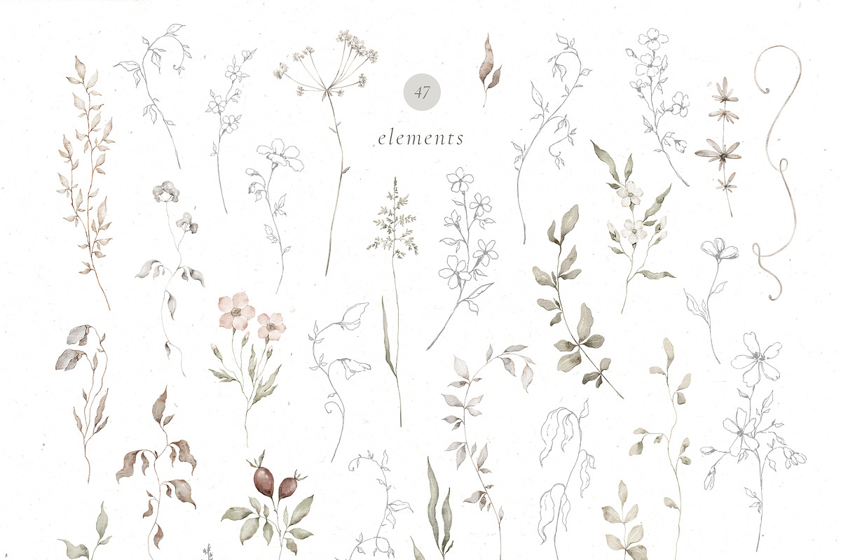 GRACE Floral Watercolor and Line art, a Decorative Illustration by Kreker Kate (Photo 9 of 10)