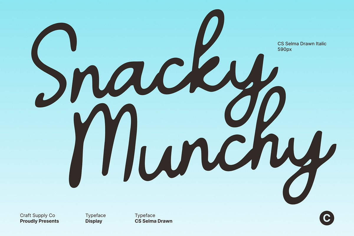 CS Selma Drawn, a Script Font by Craft Supply Co. (Photo 2 of 8)