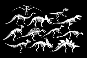 Dinosaurs Skeletons Patterns And Set