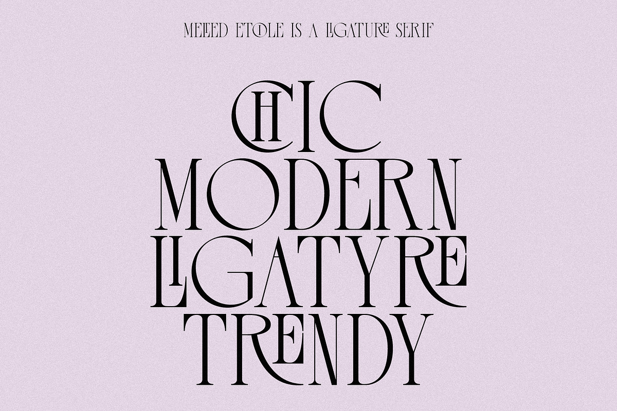 Melted Etoile - Chic Ligature Serif, a Serif Font by Mikhail Fukurou (Photo 2 of 8)