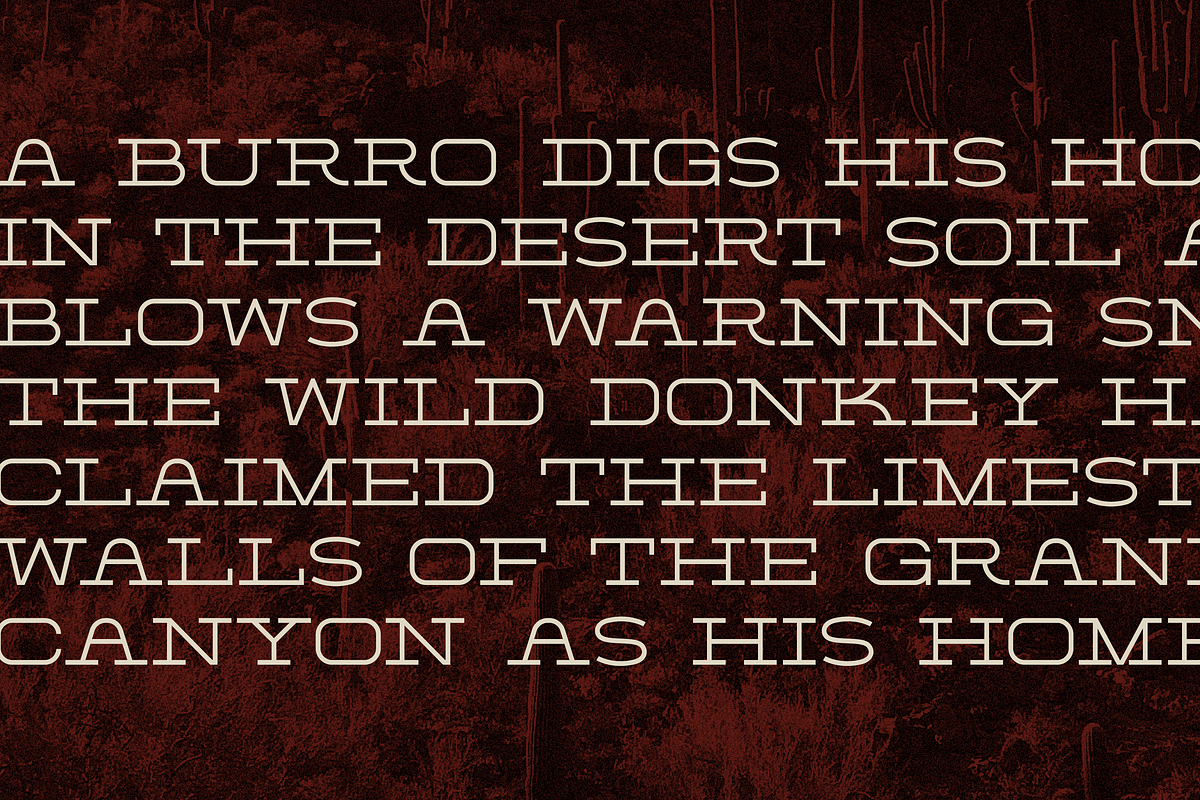 Burro Wash - Slab Serif Display Font, a Slab Serif Font by Sombrero Craft (Photo 4 of 6)