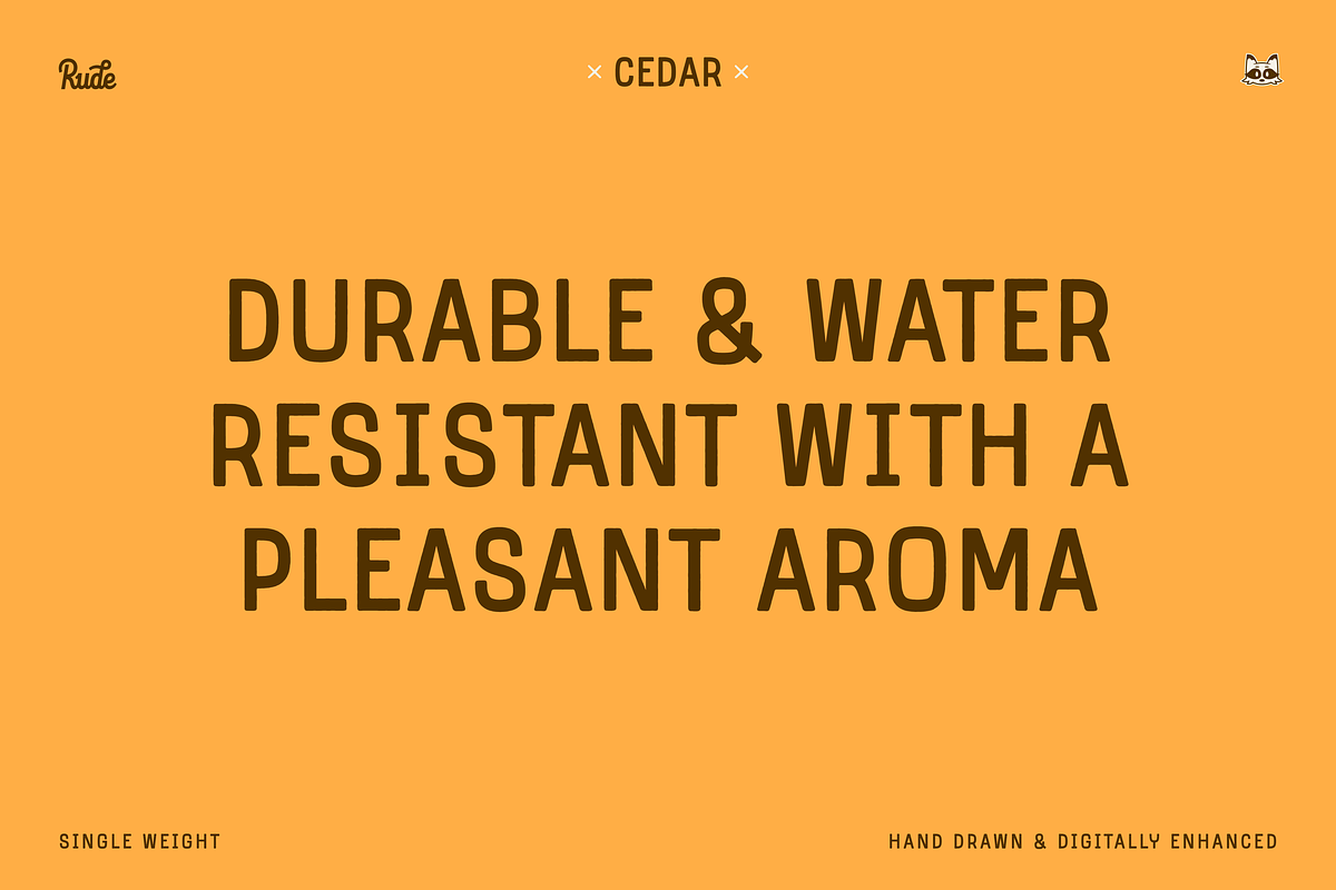 Cedar Display Font, a Sans Serif Font by bryrude (Photo 5 of 5)