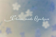 Flirt: Coquette Script Font, a Script Font by Mneme (Thumbnail 6 of 9)