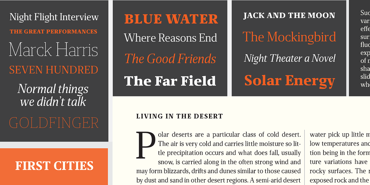 Miragem, a Serif Font by Vanarchiv (Photo 5 of 8)
