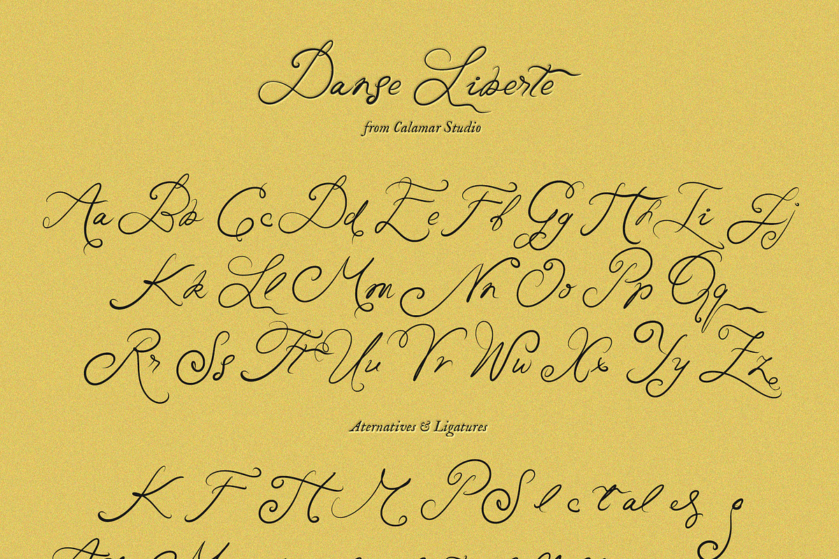 Danse Liberte Handwritten Font, a Script Font by Calamar Studio (Photo 17 of 17)