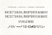 Richoen - Elegant Font, a Serif Font by QR Design Studio (Thumbnail 5 of 6)