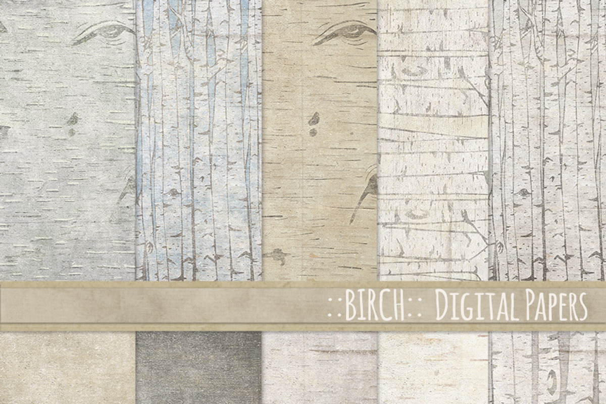 Birch Wood Background Images preview 2