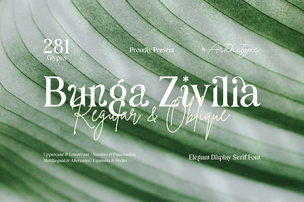 Bunga Zivilia - Display Serif Font