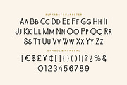 Honest Proud - Aesthetic Serif Font, a Serif Font by Fype Co. (Thumbnail 6 of 6)