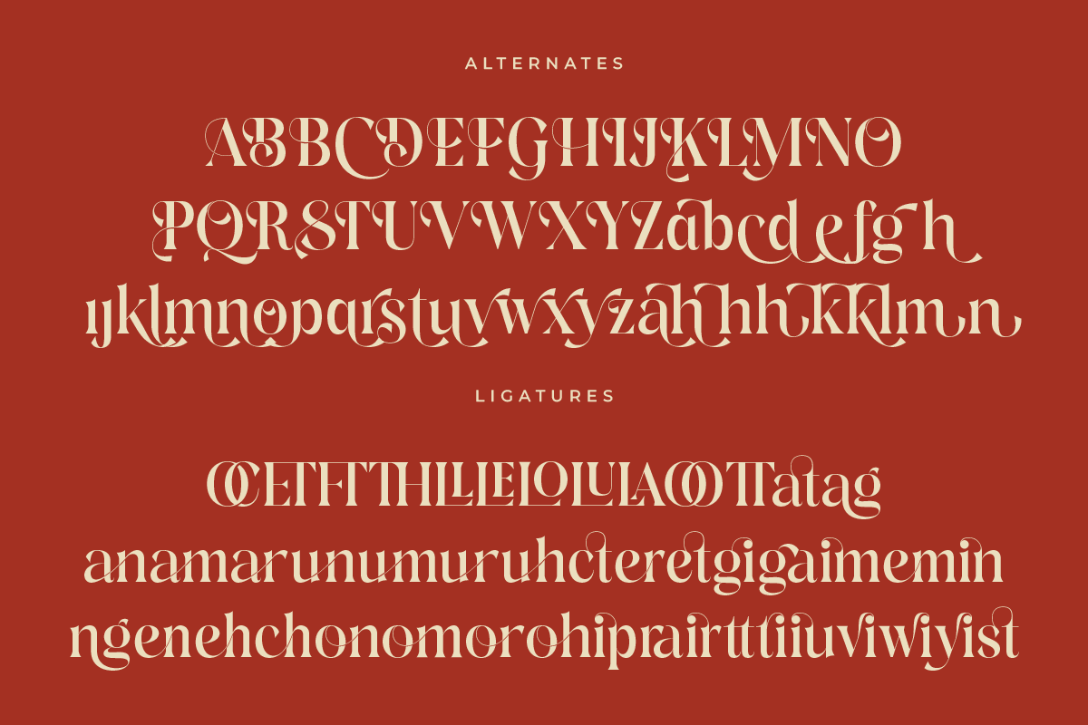 Drakune - Beauty Elegant Serif, a Serif Font by Shakira Studio (Photo 8 of 10)
