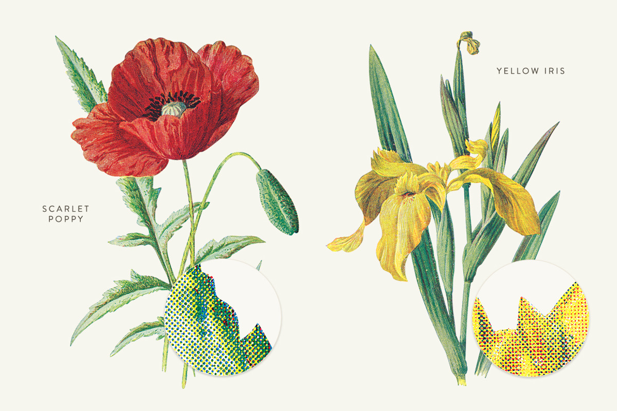 Vintage Flowers Vol.03 - Extra Large, an Illustration by Greta Ivy (Photo 8 of 15)
