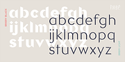 Briery, a Sans Serif Font by HeadFirst (Thumbnail 15 of 18)