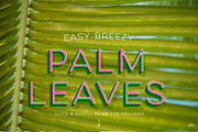 Photo Suite: Palm Leaves preview 2