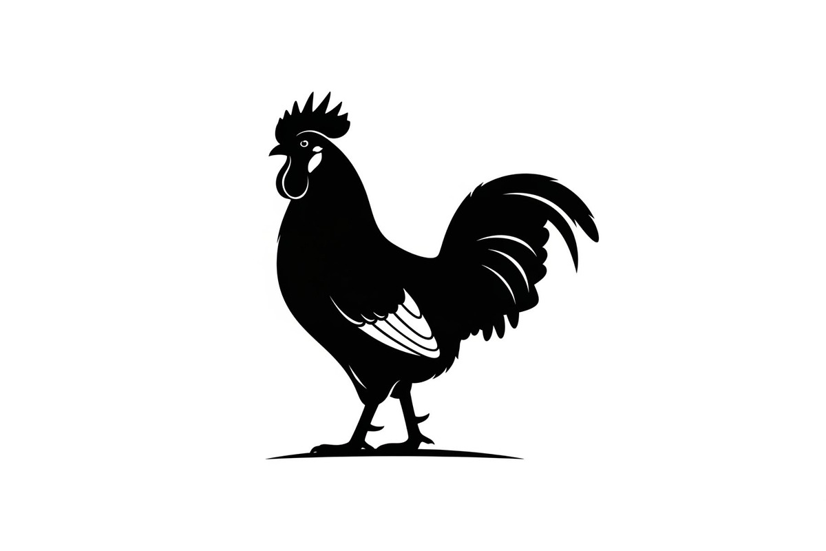 Rooster Chicken Silhouette Vector Bu, an Illustration by Designs_River (Photo 20 of 51)