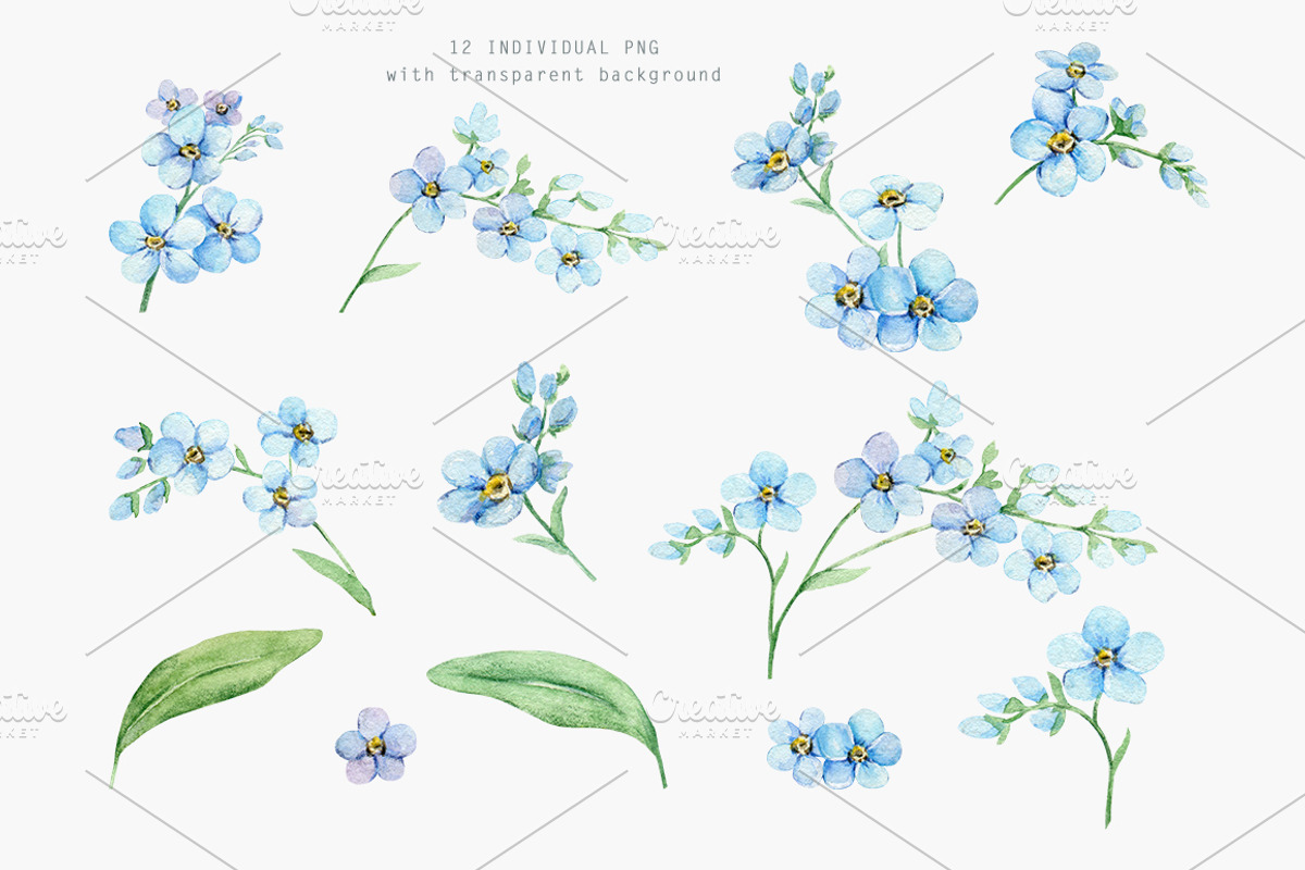 Forget Me Not Watercolor Clipart, an Illustration by Daryartsy (Photo 7 of 8)