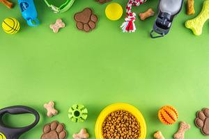 Flat lay composition with food, snacks, toys and accessories for, an Animal Photo by Rimma