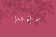Sullington Script Font, a Script Font by Salt & Pepper Designs (Thumbnail 6 of 9)
