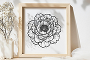Peony Flower Line Art Illustration, a Decorative Illustration by Kusumaillustration (Thumbnail 14 of 15)