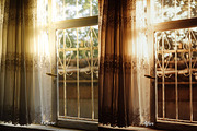 30 Fall Feel Lightroom Collection, a Preset Add-On by 3Motional (Thumbnail 4 of 11)
