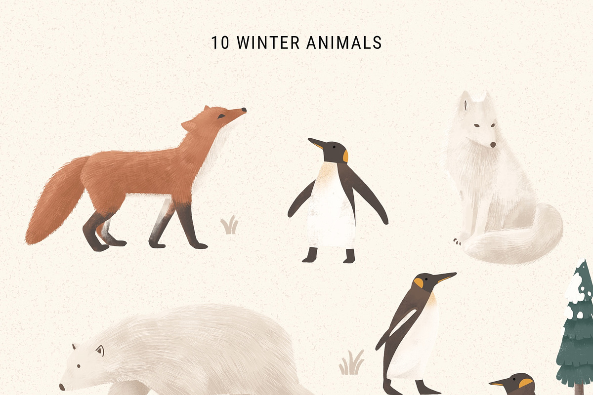 Arctic Animal, Botanical & Landscape, an Animal Illustration by imajineko (Photo 4 of 11)