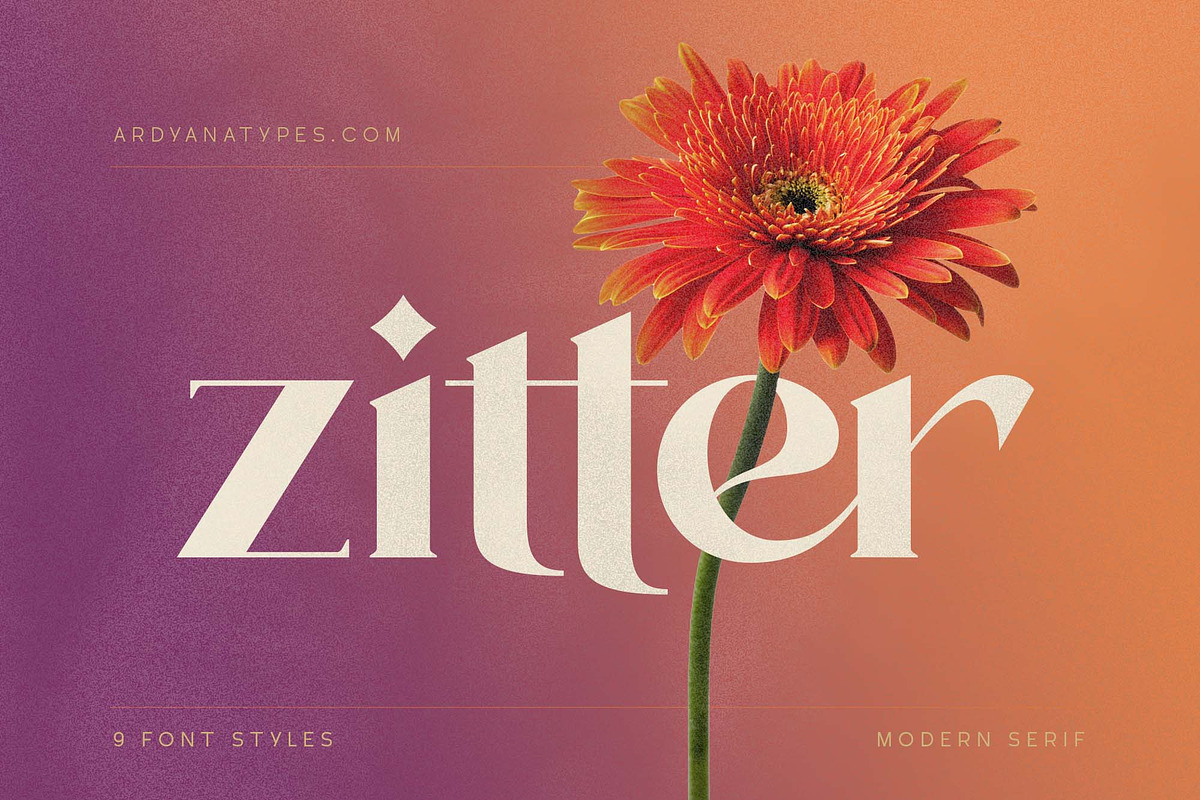 Zitter - Decorative Serif, a Serif Font by Ardyanatypes (Photo 1 of 12)