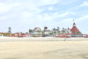Hotel del Coronado, an Architecture Photo by Wild Wanderer Photography