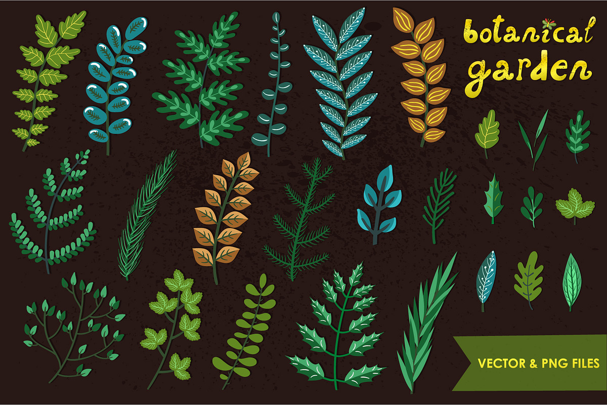 Botanical garden (vector, png), an Illustration by MagicForestory (Photo 3 of 5)