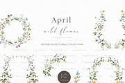 April Wild Flower, a Decorative Illustration by heyiamalice (Thumbnail 5 of 9)