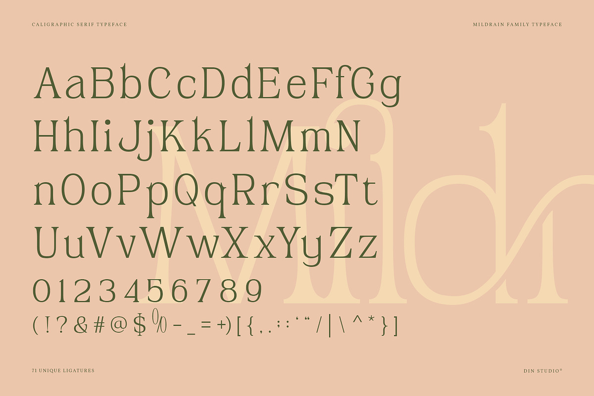 Mildrain, a Serif Font by din-studio.com (Photo 6 of 10)