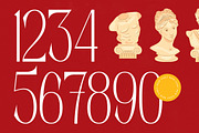 Salctego Modern Luxury Display, a Sans Serif Font by timelesstype.co (Thumbnail 5 of 20)