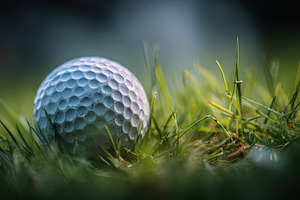 Golf ball resting on green grass, a Photo by Beautiful things