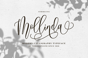 Mollinda - Modern Script Typeface