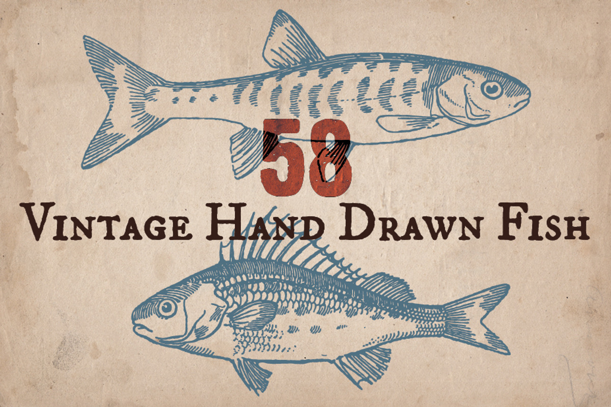 58 Vintage Hand Drawn Fish, a Food Illustration by Mr Vintage (Photo 1 of 5)