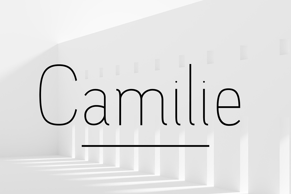 Elegant - Font Collection - 7 Fonts preview 2